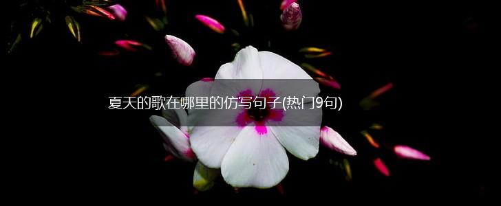 夏天的歌在哪里的仿写句子(热门9句),第1张