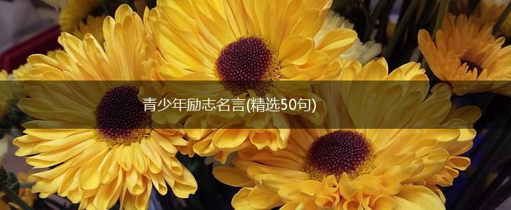 青少年励志名言(精选50句),第1张