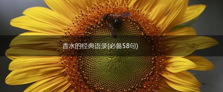 香水的经典语录(必备58句),第1张