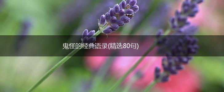 鬼怪的经典语录(精选80句),第1张