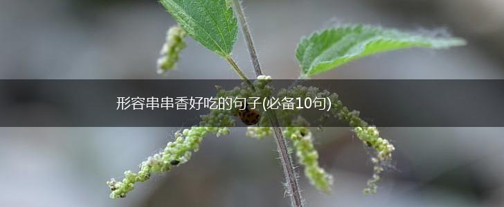 形容串串香好吃的句子(必备10句),第1张