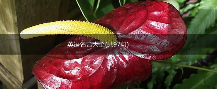 英语名言大全(共97句),第1张