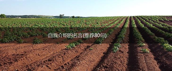 自我介绍的名言(推荐80句),第1张 自我介绍的名言(推荐80句),第1张