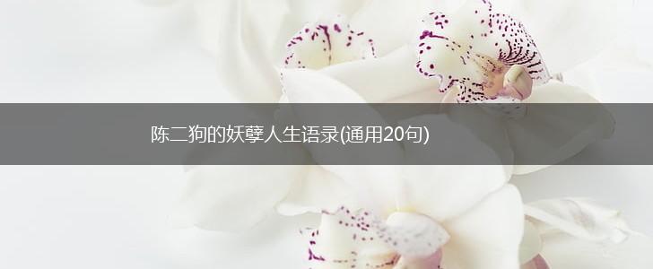 陈二狗的妖孽人生语录(通用20句),第1张