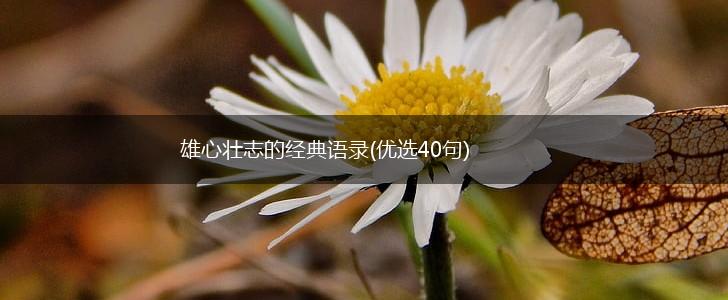雄心壮志的经典语录(优选40句),第1张