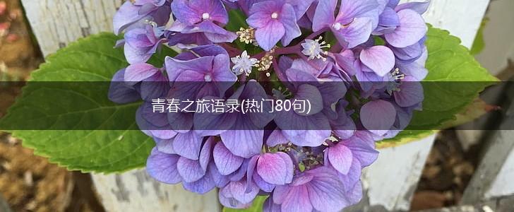 青春之旅语录(热门80句),第1张