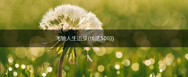飞驰人生语录(优选50句),第1张