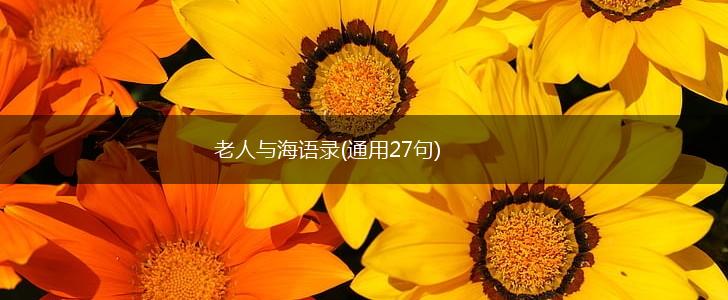 老人与海语录(通用27句),第1张