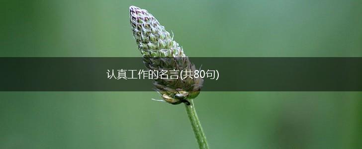 认真工作的名言(共80句),第1张