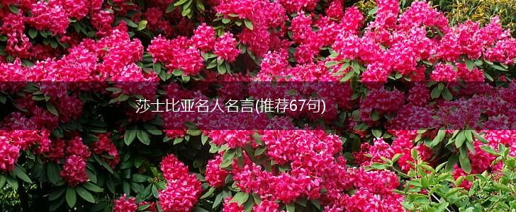 莎士比亚名人名言(推荐67句),第1张