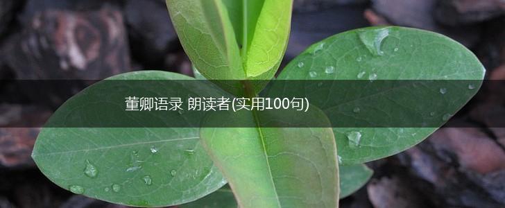 董卿语录 朗读者(实用100句),第1张