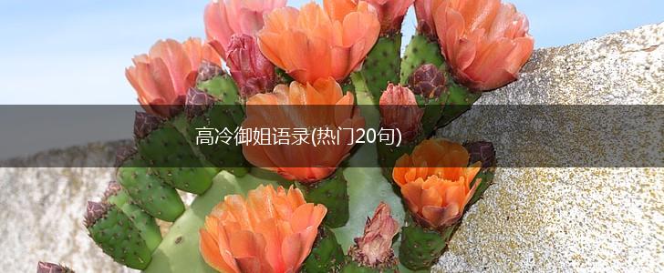 高冷御姐语录(热门20句),第1张