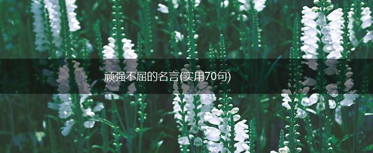 顽强不屈的名言(实用70句),第1张