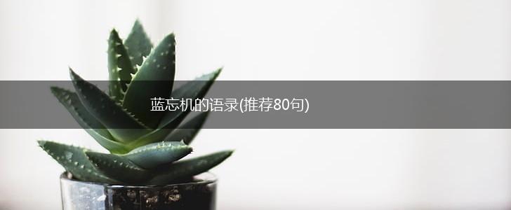 蓝忘机的语录(推荐80句),第1张