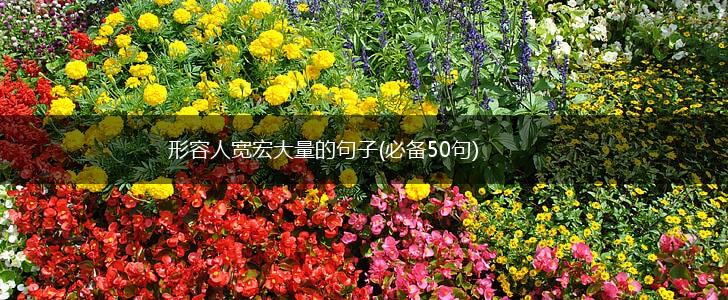 形容人宽宏大量的句子(必备50句),第1张
