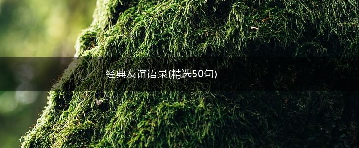 经典友谊语录(精选50句),第1张
