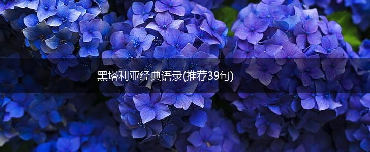 黑塔利亚经典语录(推荐39句),第1张