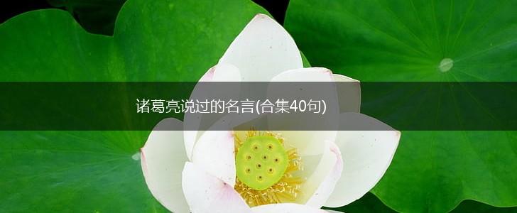 诸葛亮说过的名言(合集40句),第1张 诸葛亮说过的名言(合集40句),第1张