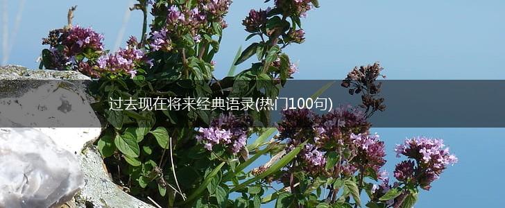 过去现在将来经典语录(热门100句),第1张