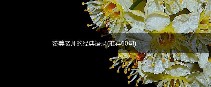 赞美老师的经典语录(推荐60句),第1张