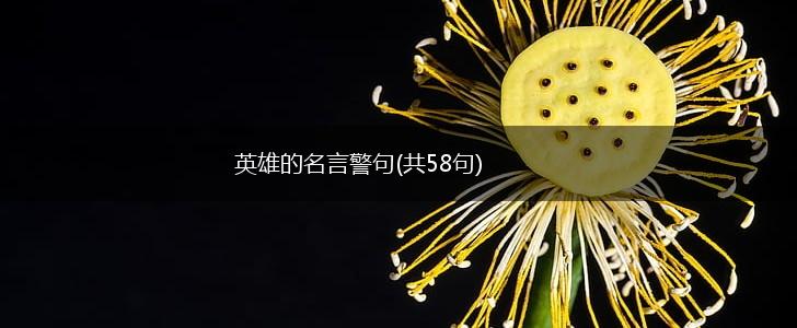英雄的名言警句(共58句),第1张
