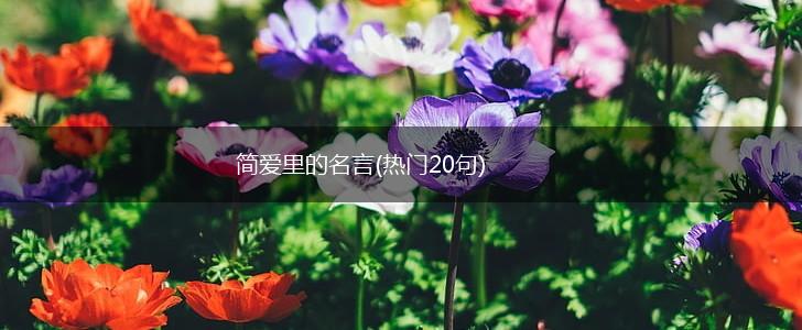 简爱里的名言(热门20句),第1张