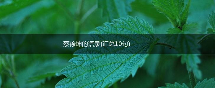 蔡徐坤的语录(汇总10句),第1张