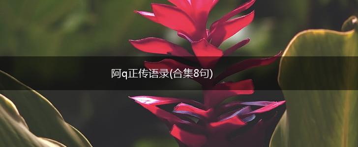 阿q正传语录(合集8句),第1张