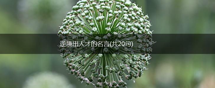 逆境出人才的名言(共20句),第1张