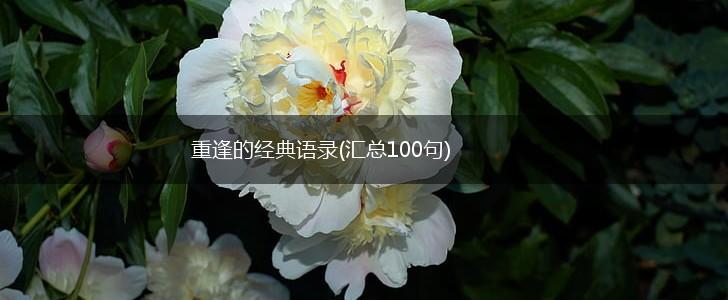 重逢的经典语录(汇总100句),第1张