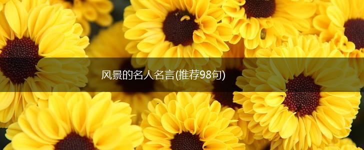 风景的名人名言(推荐98句),第1张
