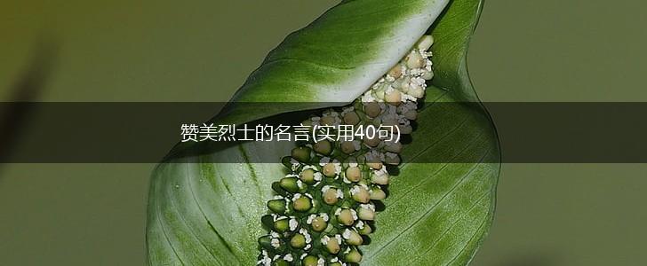 赞美烈士的名言(实用40句),第1张 赞美烈士的名言(实用40句),第1张