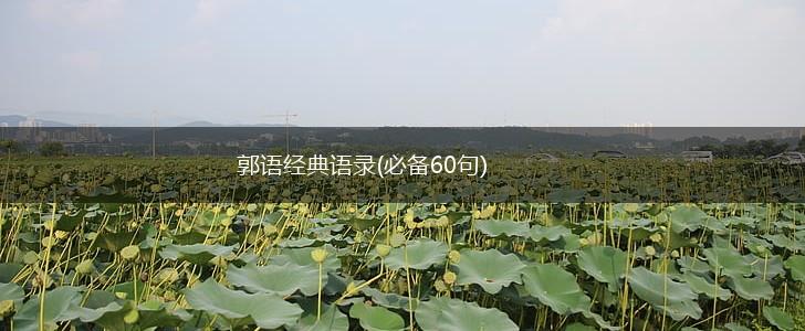 郭语经典语录(必备60句),第1张