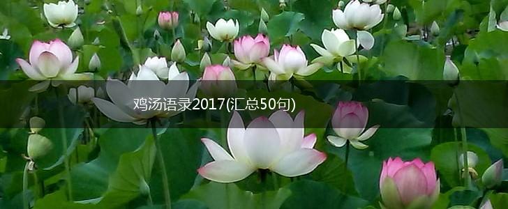 鸡汤语录2017(汇总50句),第1张