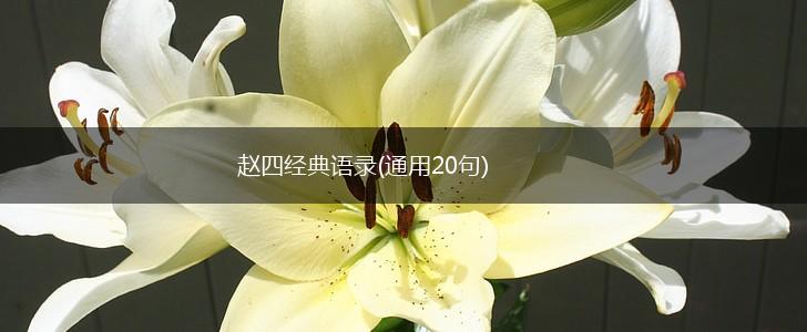 赵四经典语录(通用20句),第1张
