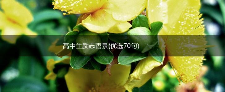 高中生励志语录(优选70句),第1张