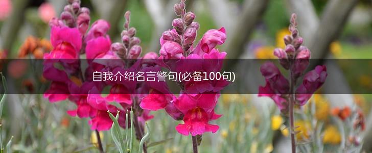 自我介绍名言警句(必备100句),第1张 自我介绍名言警句(必备100句),第1张