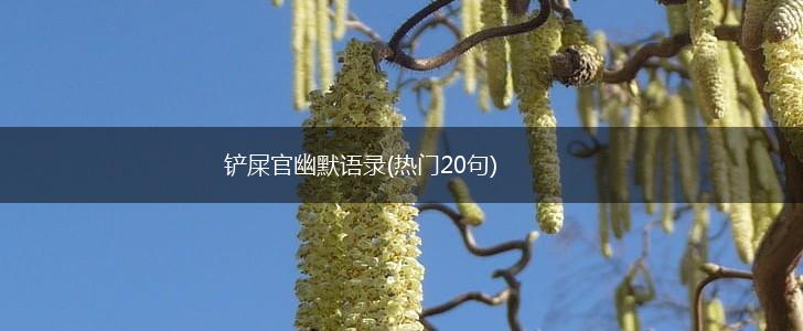 铲屎官幽默语录(热门20句),第1张