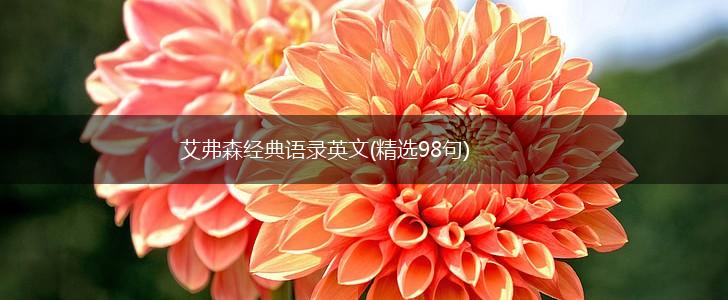 艾弗森经典语录英文(精选98句),第1张