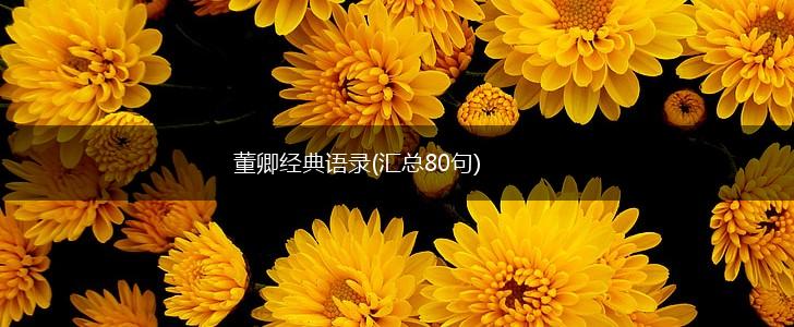 董卿经典语录(汇总80句),第1张