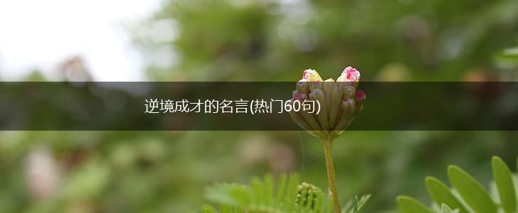 逆境成才的名言(热门60句),第1张
