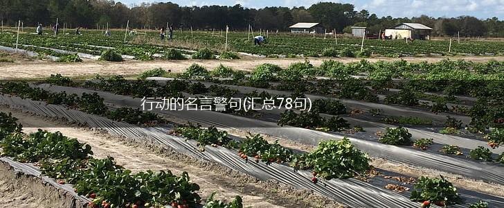 行动的名言警句(汇总78句),第1张