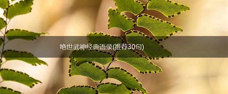 绝世武神经典语录(推荐30句),第1张