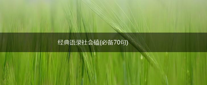 经典语录社会磕(必备70句),第1张