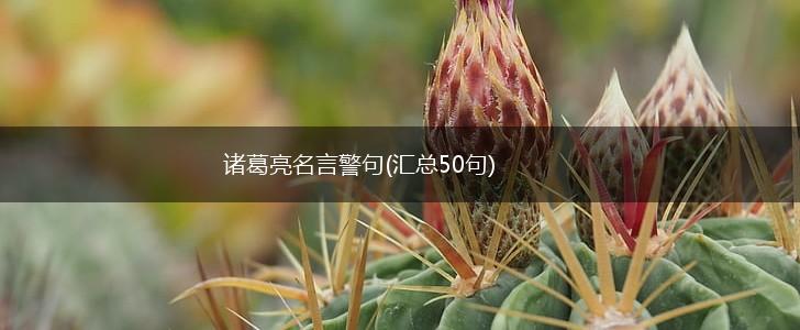 诸葛亮名言警句(汇总50句),第1张 诸葛亮名言警句(汇总50句),第1张