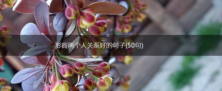 形容两个人关系好的句子(50句),第1张