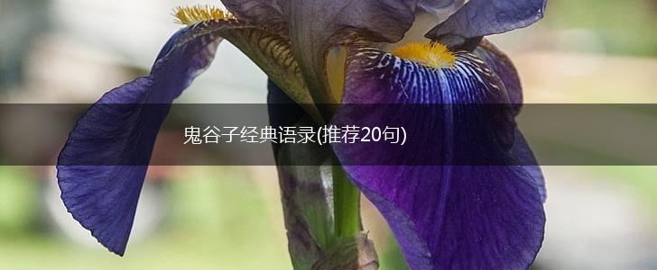 鬼谷子经典语录(推荐20句),第1张