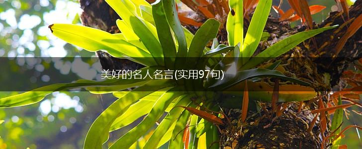 美好的名人名言(实用97句),第1张