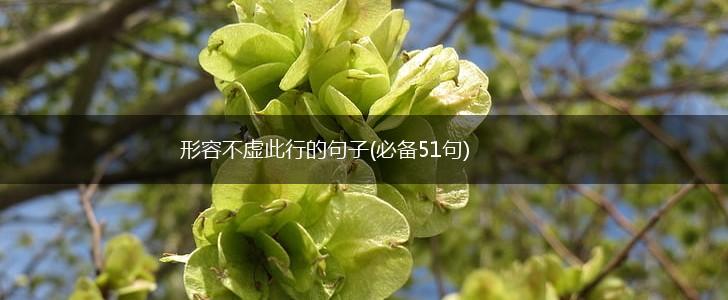 形容不虚此行的句子(必备51句),第1张