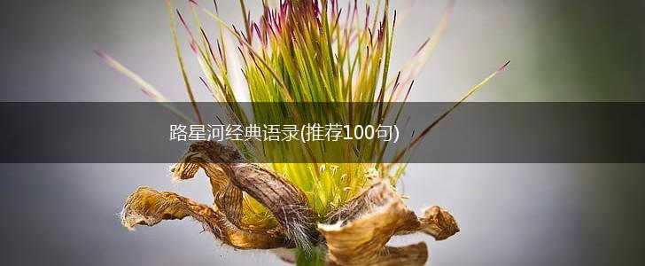 路星河经典语录(推荐100句),第1张